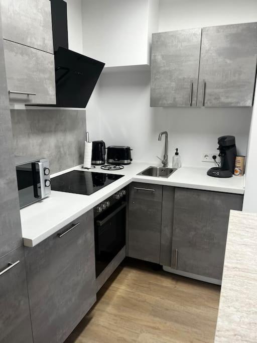Appartement Charmante Penthouse - Therme Badewelt - Museum In Hoffenheim Sinsheim